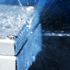 wasser_web